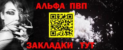 спайс Кингисепп