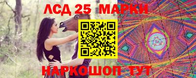 jwh Кимры