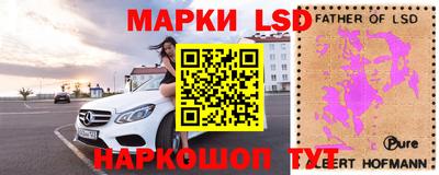 спайс Кингисепп