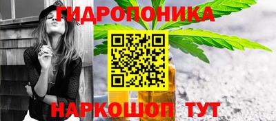 спайс Кингисепп