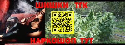 спайс Кингисепп