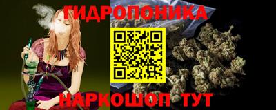 спайс Кингисепп