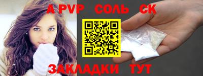 спайс Кингисепп
