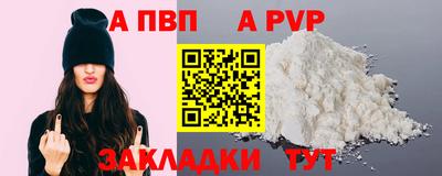 спайс Кингисепп