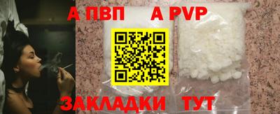спайс Кингисепп