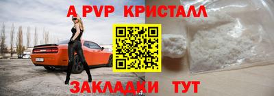 спайс Кингисепп