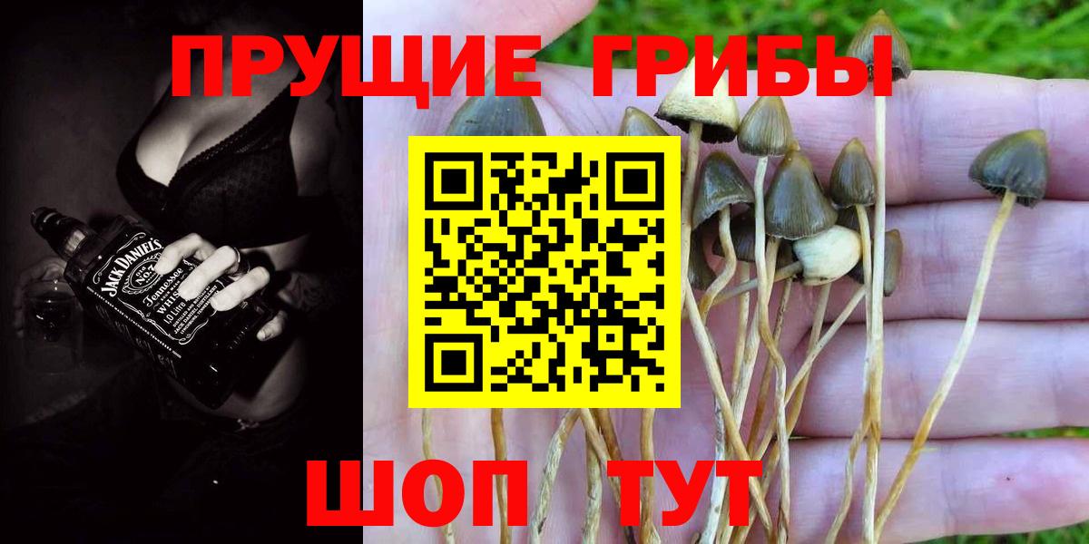 Галлюциногенные грибы прущие грибы Кропоткин