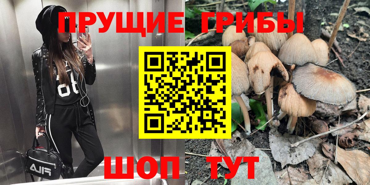 Псилоцибиновые грибы ЛСД  Вход с VPN  Псилоцибиновые грибы Magic Shrooms  Кропоткин 